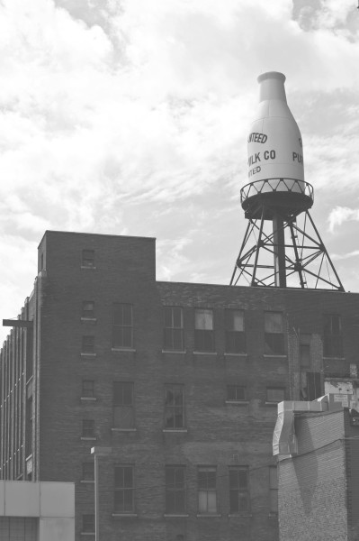 Guaranteed Pure Milk Factory