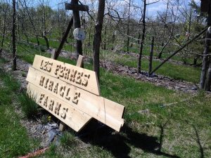 rédaction des bulletins